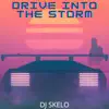 Drive into the Storm - Single album lyrics, reviews, download