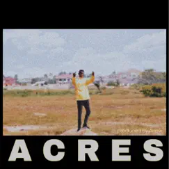 Acres - Single by King Joey album reviews, ratings, credits
