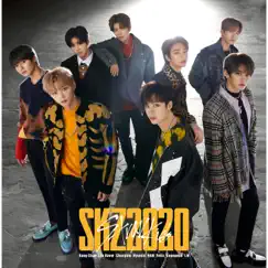 Double Knot -Japanese ver.- - Single by Stray Kids album reviews, ratings, credits