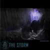 The Storm - Single album lyrics, reviews, download