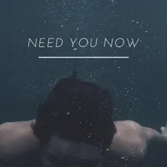 Need You Now - Single by Optic album reviews, ratings, credits