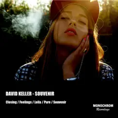 Souvenir by David Keller album reviews, ratings, credits