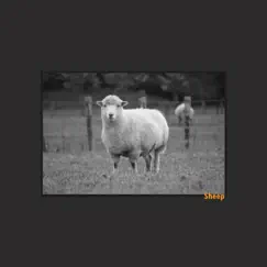 Sheep - Single by Dexx album reviews, ratings, credits