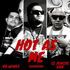 Hot As Me (feat. 40 Winks & el Pinche Kon) Song Lyrics