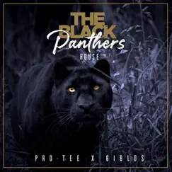Black Panther Song Lyrics