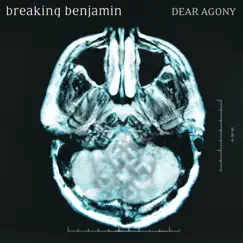 Dear Agony by Breaking Benjamin album reviews, ratings, credits