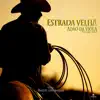 Em Duas Vozes: Estrada Velha album lyrics, reviews, download