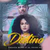 El Destino (feat. El Fecho RD) - Single album lyrics, reviews, download
