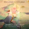 Jewel in the Lotus (DJ Taz Rashid Remix) - Single album lyrics, reviews, download