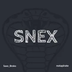 Snex Song Lyrics