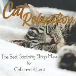 Cat Relaxation: The Best Soothing Sleep Music for Cats and Kittens by RelaxMyCat, Cat Music Dreams & Cat Music Therapy album reviews, ratings, credits