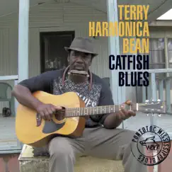Catfish Blues Song Lyrics