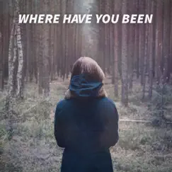Where Have You Been Song Lyrics