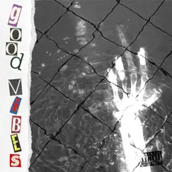 Good Vibes - Single by Kevin Na$h album reviews, ratings, credits