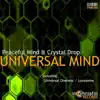 Universal Mind - Single album lyrics, reviews, download