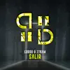 Salir - Single album lyrics, reviews, download