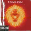 Forever Flame - Single album lyrics, reviews, download