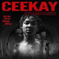 No Remorse - Single by Cee Kay album reviews, ratings, credits