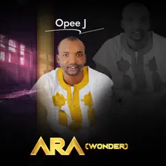 ARA (Wonder) by Opee J album reviews, ratings, credits