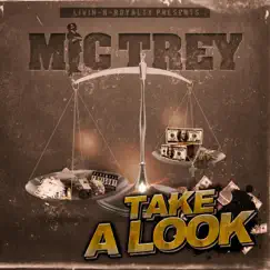 Take a Look by Mic Trey album reviews, ratings, credits