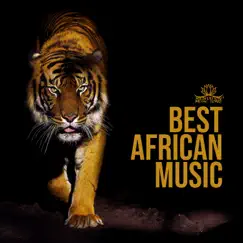 Best African Music: Ethnic Rhythms,Tribes Drums, Exotic Nature by Sound Therapy Masters album reviews, ratings, credits