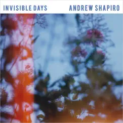 Invisible Days - EP (15th Anniversary Edition) by Andrew Shapiro album reviews, ratings, credits