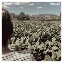 Viñales - Single by Common Jack album reviews, ratings, credits