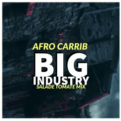 Big Industry (Salade Tomate Mix) - Single by Afro Carrib album reviews, ratings, credits