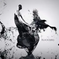 Black Bird Song Lyrics