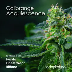Acquiescence - EP by Caliorange album reviews, ratings, credits