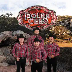 Mi Paraíso by Polka Cero album reviews, ratings, credits
