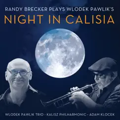 Amber Road (feat. Wlodek Pawlik Trio & Kalisz Philharmonic Orchestra) Song Lyrics
