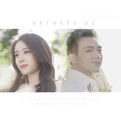 Between us (Vietnamese Version) Song Lyrics
