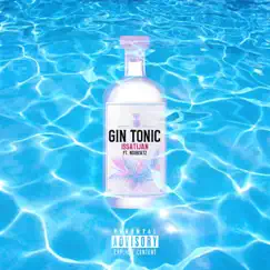 Gin Tonic (feat. Nisbeatz) Song Lyrics