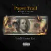 Paper Trail album lyrics, reviews, download