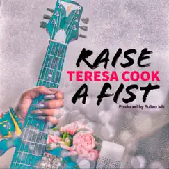 Raise a Fist - Single by Teresa Cook album reviews, ratings, credits