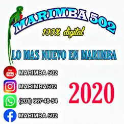 Lo Nuevo en Marimba 2020 - Single by Marimba 502 album reviews, ratings, credits