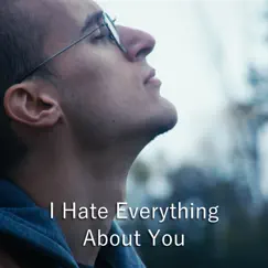 I Hate Everything About You (Acoustic / Orchestral) Song Lyrics