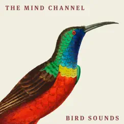 Bird Sounds - EP by The Mind Channel album reviews, ratings, credits