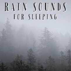 Sounds For Sleeping Song Lyrics