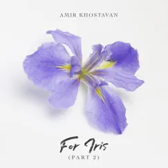 For Iris, Pt. 2 - Single by Amir Khostavan album reviews, ratings, credits