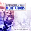 Mindfulness at Work: Meditations - Office Music for Improve Concentration and Calming Nature Sounds for Stress Reduction & Yoga album lyrics, reviews, download