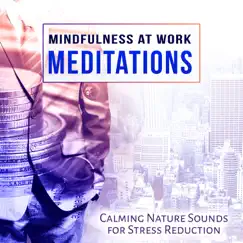 Mindfulness at Work: Meditations - Office Music for Improve Concentration and Calming Nature Sounds for Stress Reduction & Yoga by Relaxing Office Music Collection album reviews, ratings, credits