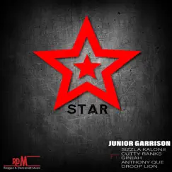 Star (feat. Sizzla Kalonji, Cutty Ranks, Ginjah, Anthony Que & Droop Lion) - Single by Junior Garrison album reviews, ratings, credits
