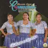 Brillando Con Luz Propia (Vol. 5) [feat. Las Consentidas & Los Solitarios] album lyrics, reviews, download