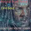 Don't Say Your Sorry - Single album lyrics, reviews, download