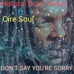 Don't Say Your Sorry Song Lyrics