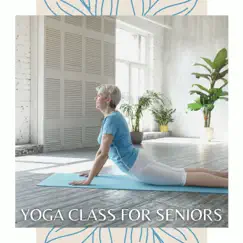 Yoga Class for Seniors - Slow New Age Yoga Songs for Older Adult Yin, Restorative and Chair Yoga by Various Artists album reviews, ratings, credits