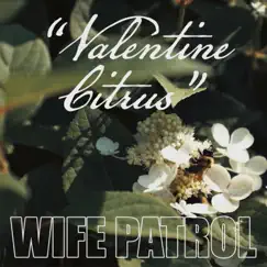 Valentine Citrus - Single by Wife Patrol album reviews, ratings, credits