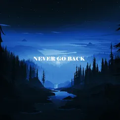 Never Go Back - Single by Wednesdays album reviews, ratings, credits